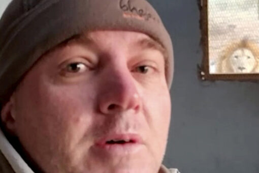 Lion stares, growls at nature guide from outside a kitchen window: video