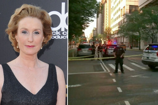‘Gone Girl’ actress Lisa Banes hit-and-run death: Suspect arrested in NYC