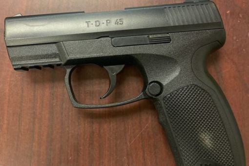 Woman using gun’s laser sight to play with cat shoots friend