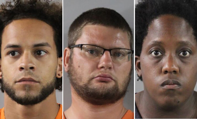 3 Disney World employees and registered nurse among group arrested in child sex sting: sheriff