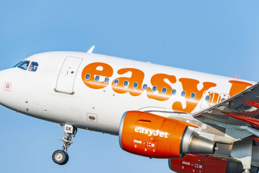 Traveler accidentally buys plane ticket for next year while trying to return home
