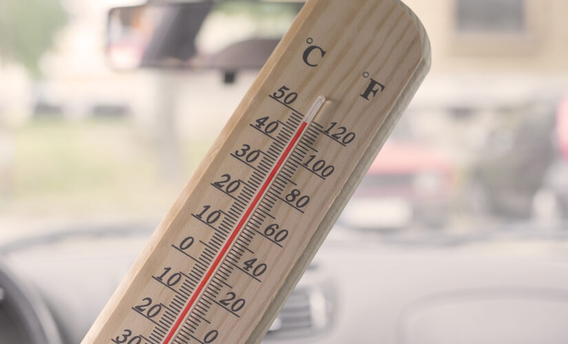 Child, 5, in Virginia dies after possibly being left in car for ‘several hours’ in 93-degree heat