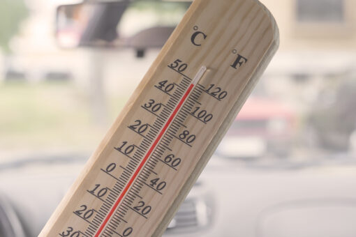 Child, 5, in Virginia dies after possibly being left in car for ‘several hours’ in 93-degree heat