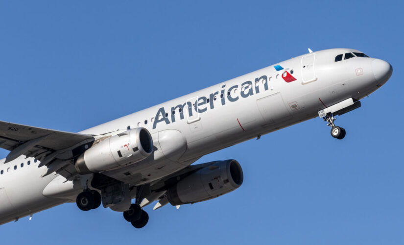 Stuck seat led to wild brawl on American Airlines flight: witness