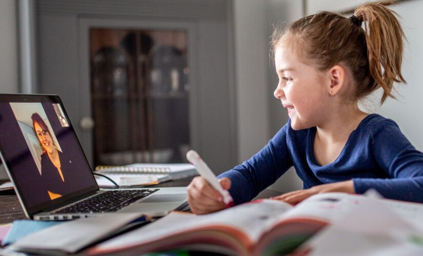 Cyber safety tips for schooling and avoiding hybrid-learning risks