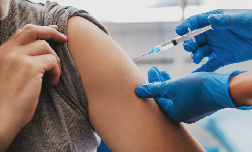 Rising vaccination rates in several southern states ‘positive trend,’ White House says