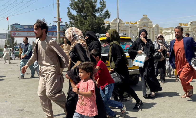 Defense official during Saigon operation says Pentagon ‘not trying hard enough’ to evacuate Afghans