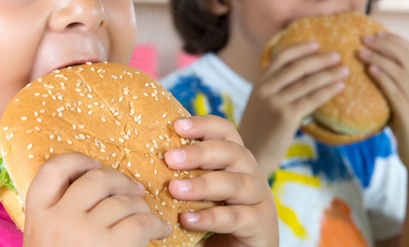 Children have gained weight during the pandemic as junk food consumption rises