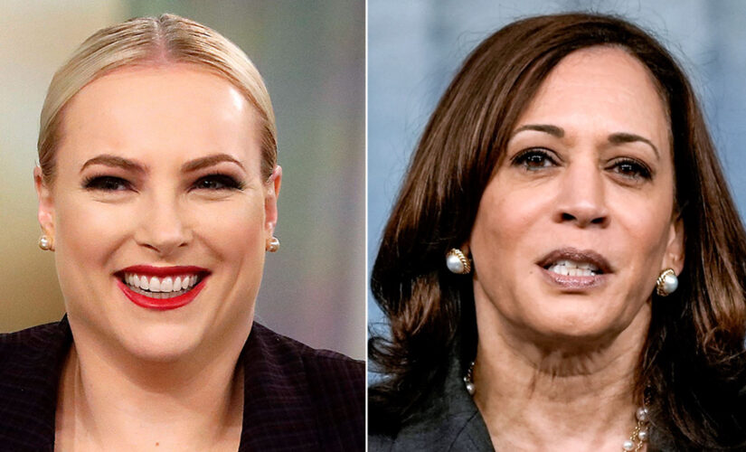 Meghan McCain shades Kamala Harris over John McCain memorial visit: ‘If you want to honor my dads legacy … ‘