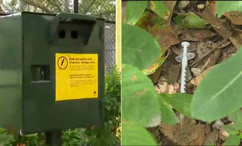 New York City park sees rampant drug use amidst complaints from residents, new records reveal