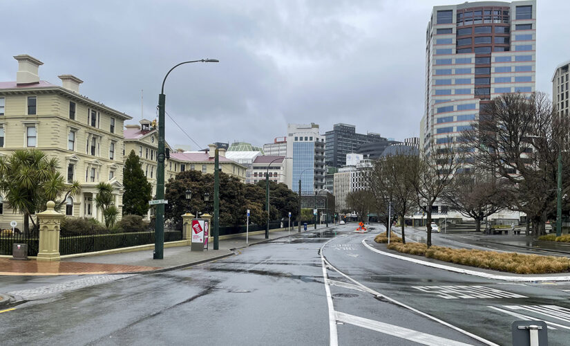 New Zealand wages high-stakes effort to halt virus outbreak