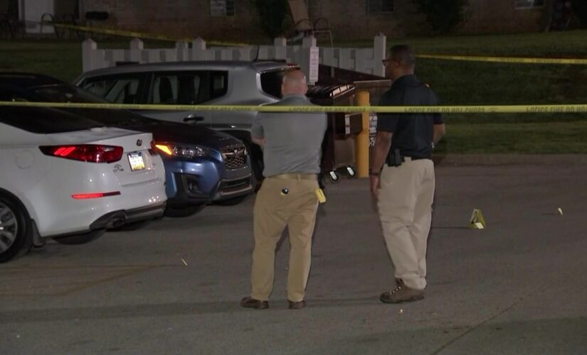 Pennsylvania man shot and killed by police after allegedly pointing gun at cops, mother is found stabbed