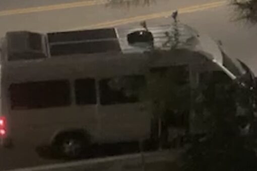 Possible California abduction caught on video as woman screams for help before van door slams shut