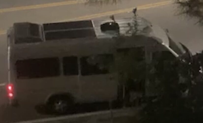 Possible California abduction caught on video as woman screams for help before van door slams shut