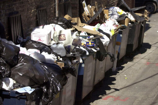 Texas mom of 4 ditches job to be a dumpster diver, earns $1,000 a week