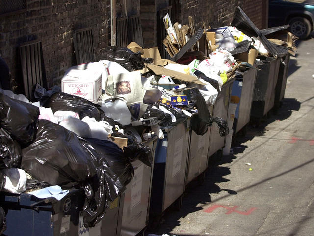 Texas mom of 4 ditches job to be a dumpster diver, earns $1,000 a week
