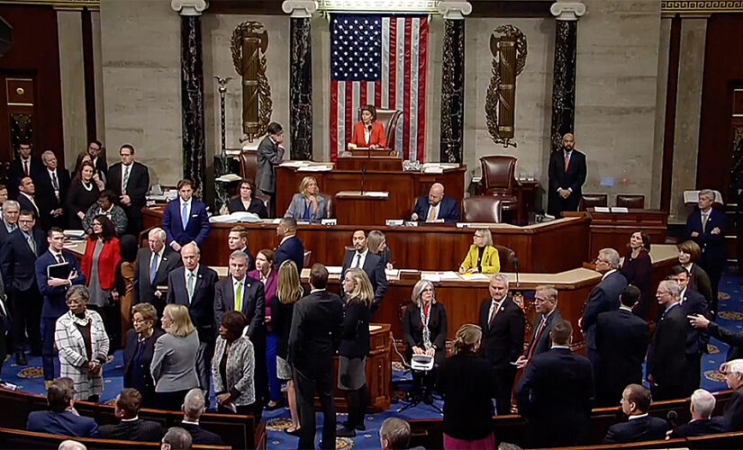 Congress a mirror of American society: REPORTER’S NOTEBOOK