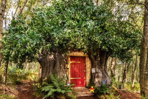 You can stay in Winnie the Pooh’s treehouse in the Hundred Acre Wood
