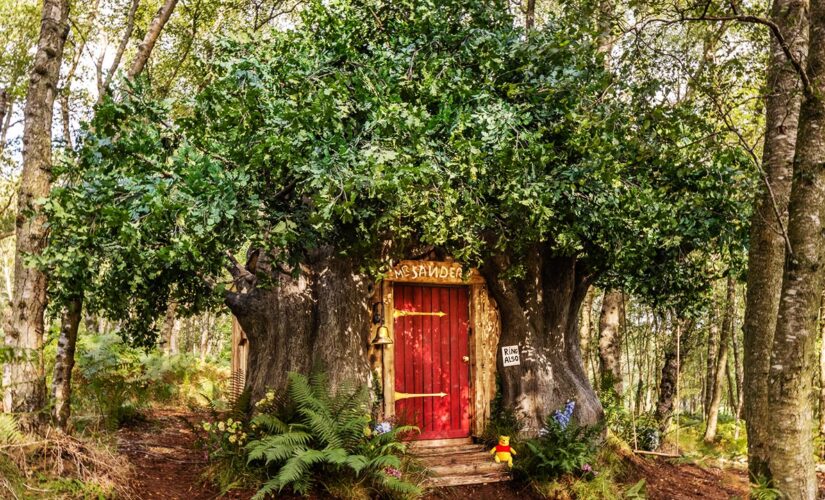 You can stay in Winnie the Pooh’s treehouse in the Hundred Acre Wood