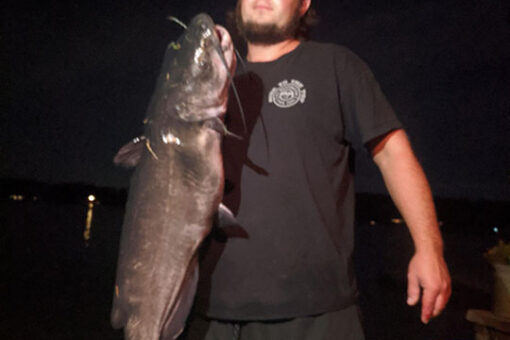 Possible world record catfish caught in Connecticut