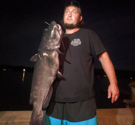 Possible world record catfish caught in Connecticut