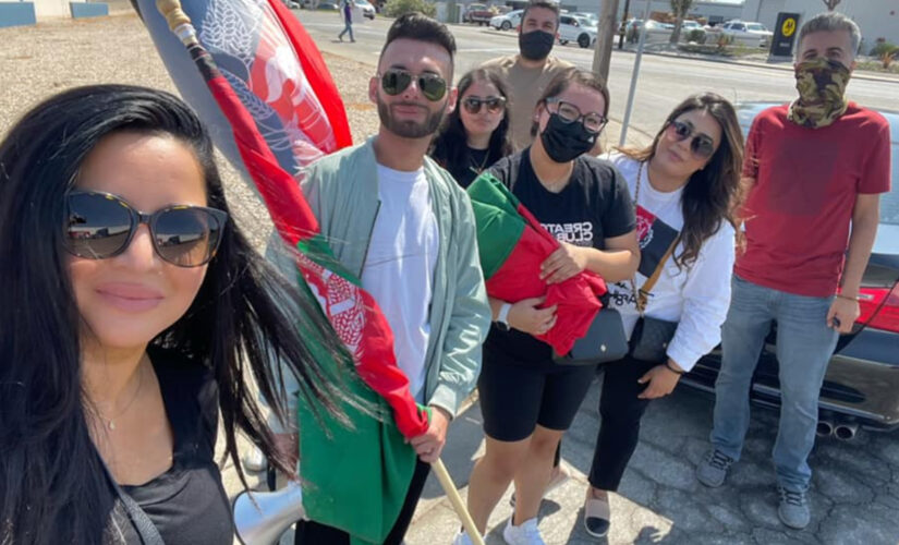 California-born Afghan-American says voters ‘expected a lot more from’ VP Harris