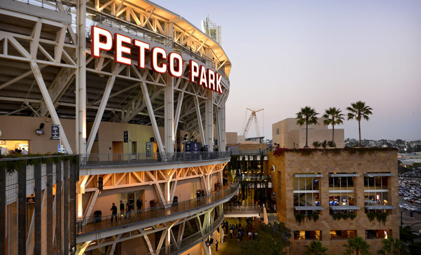 Petco Park deaths: Witness says mom lost balance after jumping up on bench with child