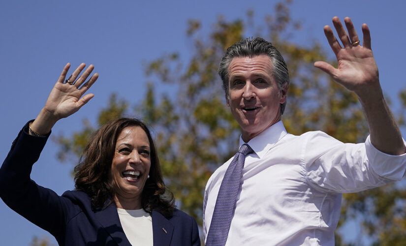 Kamala Harris faces protesters waving Afghanistan flag during Newsom rally in California