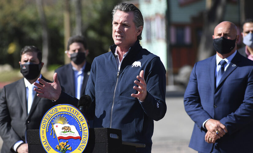 Here’s who’s aiming to succeed Newsom in California’s gubernatorial recall election