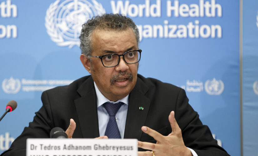 WHO chief urges halt to booster shots for rest of the year