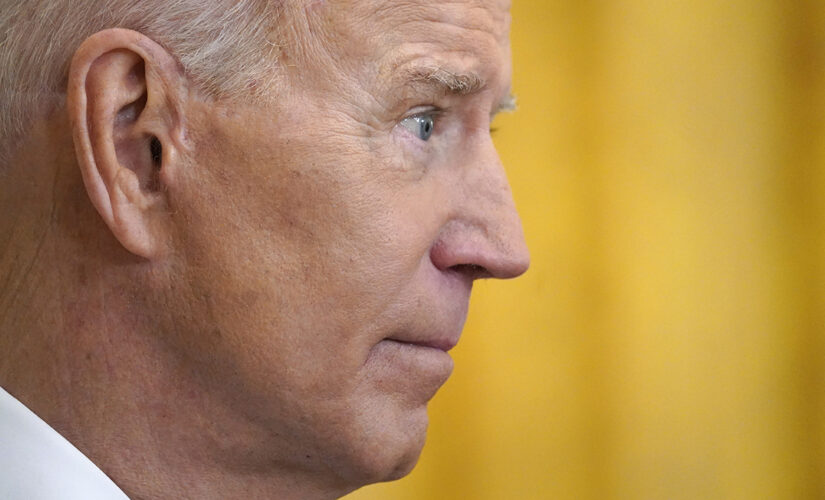 Border Patrol union chief says Biden admin using ‘whip’ furor to deflect from handling of migrant crisis