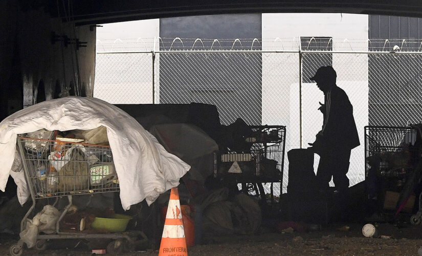 California homeless camp fire damages 2 bridges, disrupts public transportation