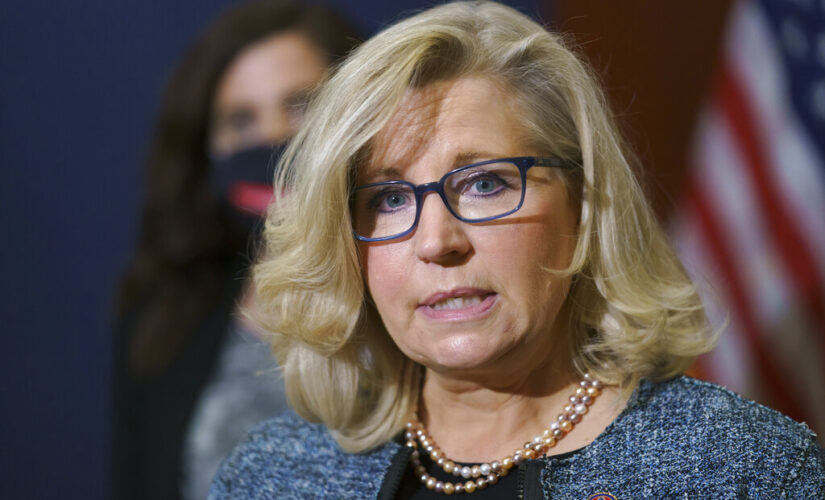 Liz Cheney ‘betrayed’ Wyoming, her Trump-backed GOP primary challenger says