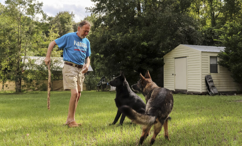 Man’s best friend: Dog alerts neighbor when owner has stroke