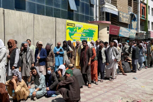 Who are the Afghan evacuees brought to the US?