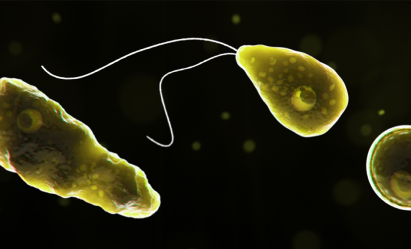 Child dead after infected by rare brain-eating amoeba found at Texas splash pad