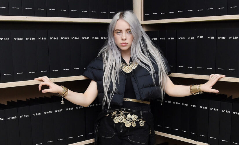 Billie Eilish says revealing photos caused her to lose 100,000 followers: ‘People are scared of big boobs’