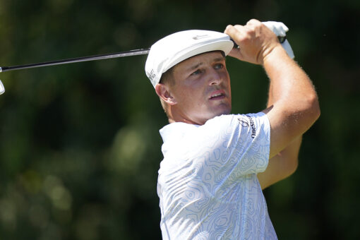 Fan swipes Bryson DeChambeau’s ball at Tour Championship