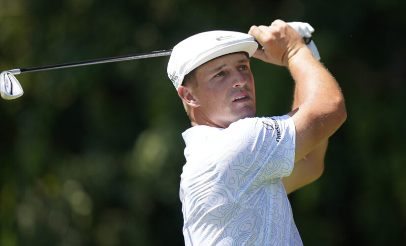 Fan swipes Bryson DeChambeau’s ball at Tour Championship
