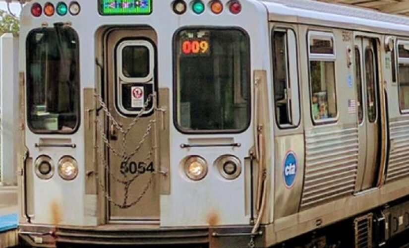 Teen involved in Chicago train shooting charged with first-degree murder