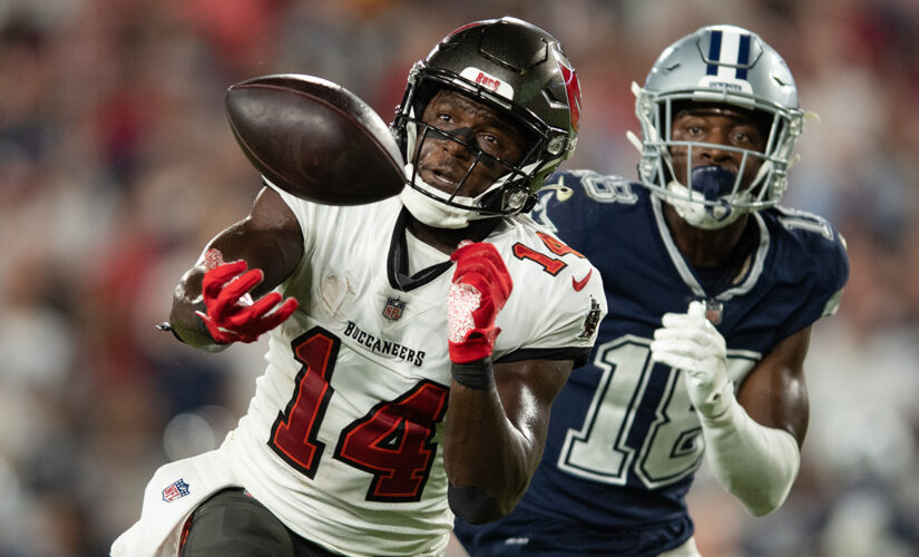 Bucs’ Chris Godwin appears to get away with pass interference on game-winning drive: ‘Bailed out again’