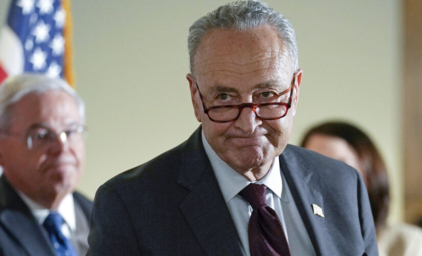 Senate parliamentarian rules against Dem amnesty push in reconciliation bill