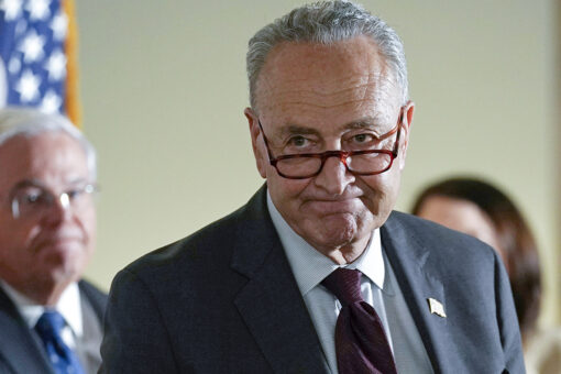 Senate parliamentarian rules against Dem amnesty push in reconciliation bill