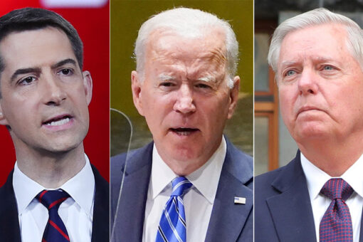 Graham, Cotton slam Biden for throwing ‘Border Patrol under the bus’