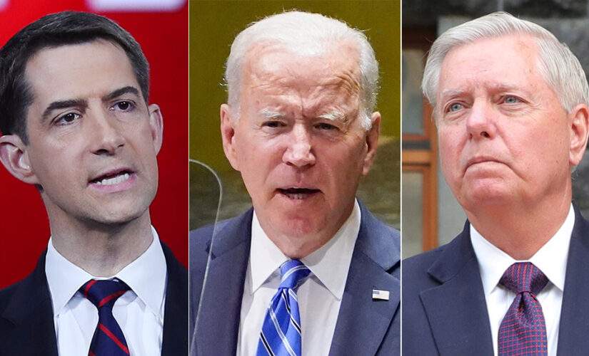 Graham, Cotton slam Biden for throwing ‘Border Patrol under the bus’