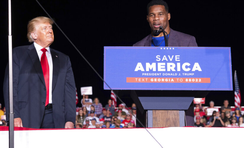 Herschel Walker: ‘It’s very important to have the backing of President Trump’