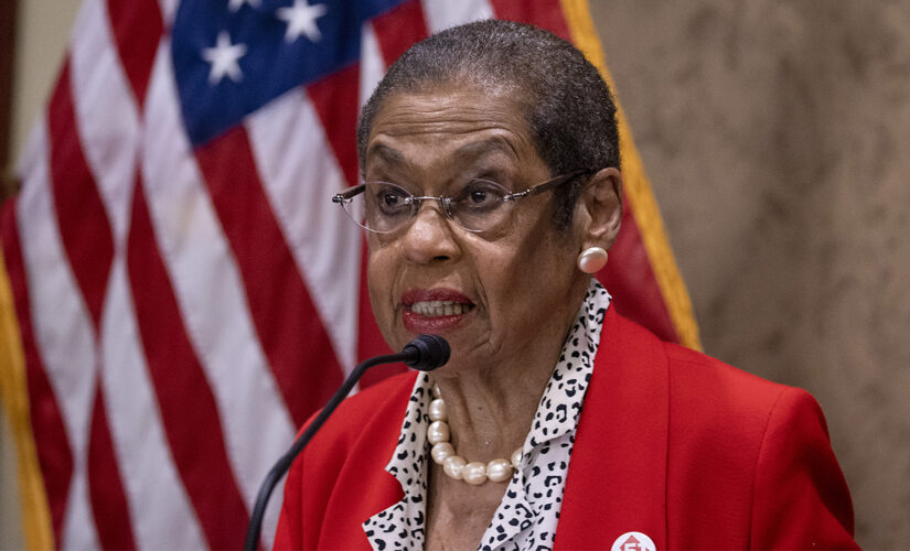DC congresswoman bizarrely denies letting zebras loose