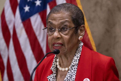 DC congresswoman bizarrely denies letting zebras loose