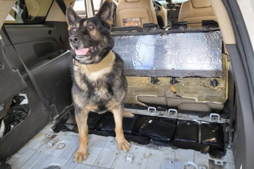 Border agents nab US citizen allegedly attempting to smuggle $600,000 of cocaine