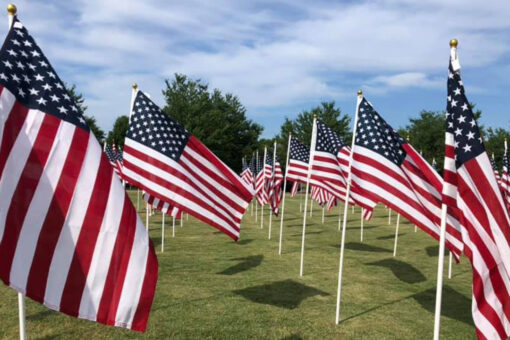 St. Louis’ Forest Park honors thousands of 9/11 heroes with ‘Flags of Valor’ display